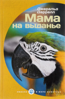 Аудиокнига Мама на выданье. Рассказы