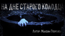 Аудиокнига На дне старого колодца