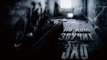 Аудиокнига По ком звучит эхо?