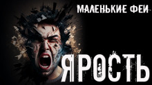 Аудиокнига Ярость