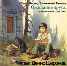 Аудиокнига Ожидание друга, или Признания подростка