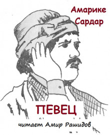 Аудиокнига Певец