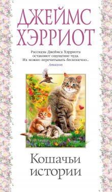 Аудиокнига Олли и Жулька
