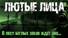 Аудиокнига Лютые лица