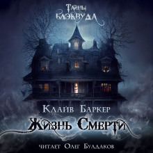 Аудиокнига Жизнь смерти