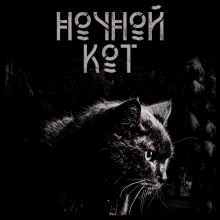 Аудиокнига Ночной кот