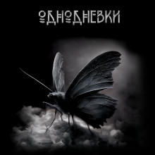 Аудиокнига Однодневки