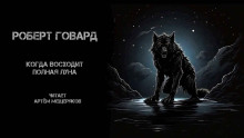 Аудиокнига Когда восходит полная луна
