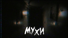 Аудиокнига Мухи