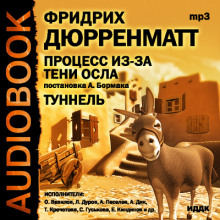 Аудиокнига Процесс из-за тени осла. Туннель