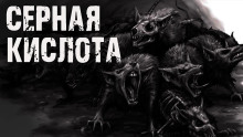 Аудиокнига Серная кислота