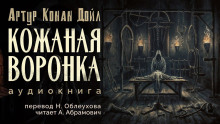 Аудиокнига Кожаная воронка