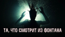 Аудиокнига Та, что смотрит из фонтана