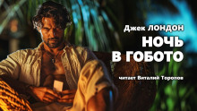 Аудиокнига Ночь в Гобото