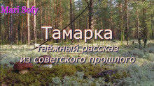 Аудиокнига Тамарка