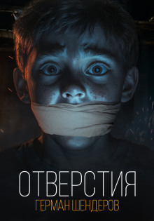 Аудиокнига Отверстия
