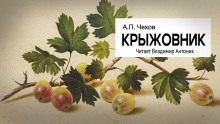 Аудиокнига Крыжовник