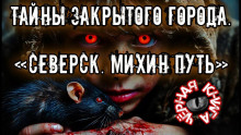 Аудиокнига Михин путь