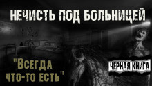 Аудиокнига Всегда что-то есть