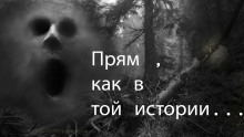 Аудиокнига Прям как в той истории...