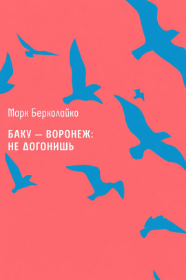 Аудиокнига Баку – Воронеж: не догонишь