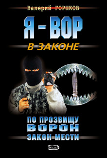 Аудиокнига По прозвищу Ворон. Закон мести